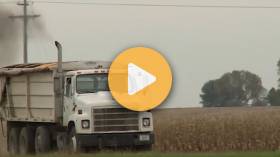 Tax Exempt Diesel