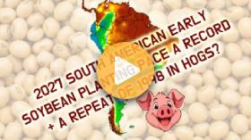 South American Soybean Update