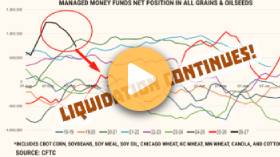 Grain Markets into Oversold Conditions!