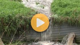 Heavy Rain Threatens Harvest