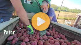 Harvest Grinds to a Halt
