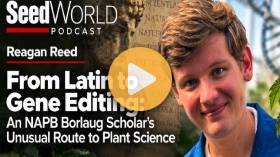 Giving Seeds a Stronger Start