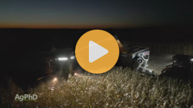 Farming at Night