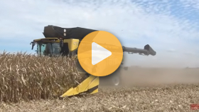 Harvesting Corn at Farm Progress 2025