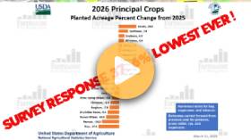 USDA Provides Surprises