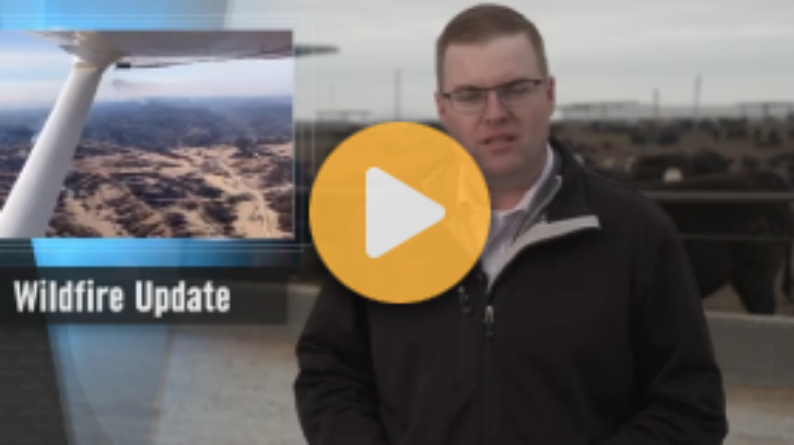 Bringing Farmers and Ranchers Together