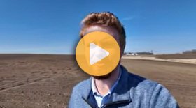 Checking Behind the Planter