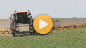 Spraying Post-Emerge Herbicides Early