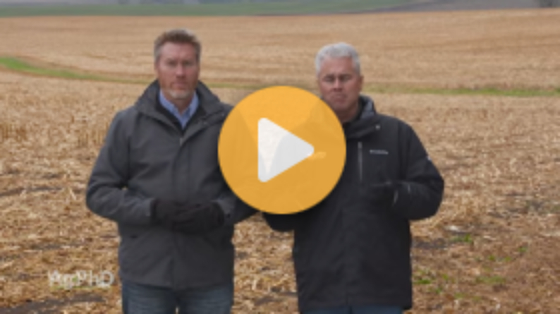 Burning Crop Residue