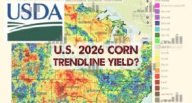 Grain Markets Watching August USDA Report