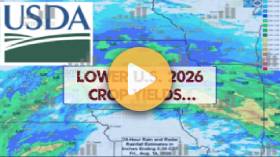 Ag Commodity Corner+ Podcast: Week 71