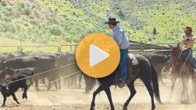 Ranchers Battle Wildfires