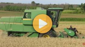 Wheat Harvest