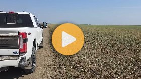 Crop Update South & West!