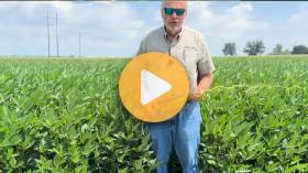 Can Early Nitrogen Increase Soybean Yield?