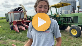 Cutting Silage