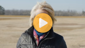 Time to Fertilize Wheat