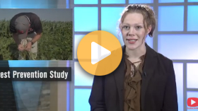 Dectes Stem Borer Study