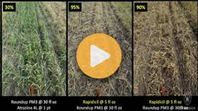 Corn and Soybean Considerations