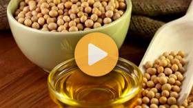 Shaping Soybean Policy