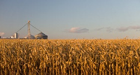 New Tool to Help Farmers Identify Potential Crop Success