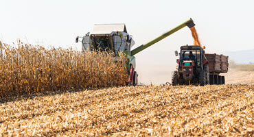 The Old Farmer's Almanac Releases Fall 2026 Forecast