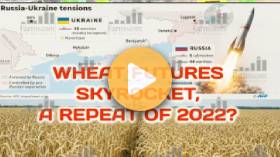 Ag Commodity Corner+ Podcast - Week 67