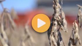 The Secret to Tomorrow's Crops