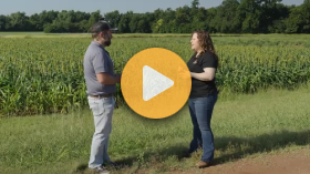 Scouting Sorghum Fields