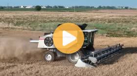 Wheat Harvest Begins
