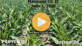 Soil Compaction Conditions