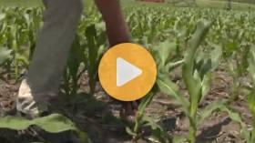 In the Field Update