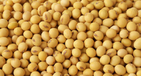 Report Highlights Efffects of Chinese Tariffs on U.S. Ag