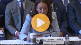 Sec. Rollins Reports on Initial Months