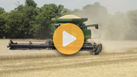 Wheat Supply is Down. Why Aren't Prices Rising?