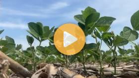In the Field Update