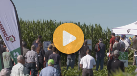 Ag PhD Field Day