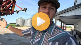 Killed Soybeans