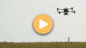 Cover Crops with Drones