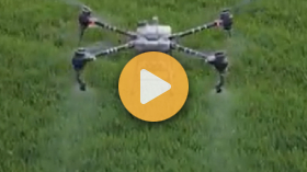 Spray Drones or Airplanes?