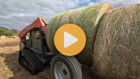 Making Hay