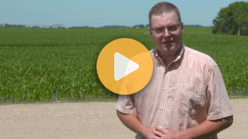 Hail Damage Decisions
