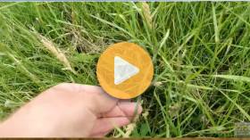Hay Farm Update