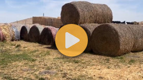 Wildfire Challenges Remain for Farmers