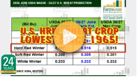 June 2026 USDA Crop Report