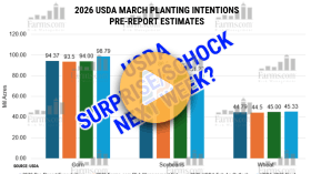 USDA Fireworks Next Week?