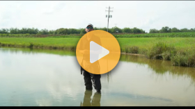 Adapting to ESA: Runoff