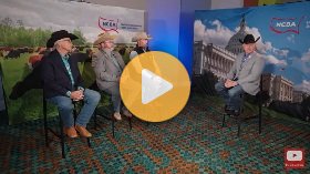 Land Trust Organizations