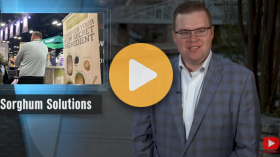 New Uses for Sorghum