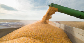 A Look at Some USDA Insurance Options